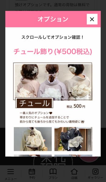 オプション確認画面
